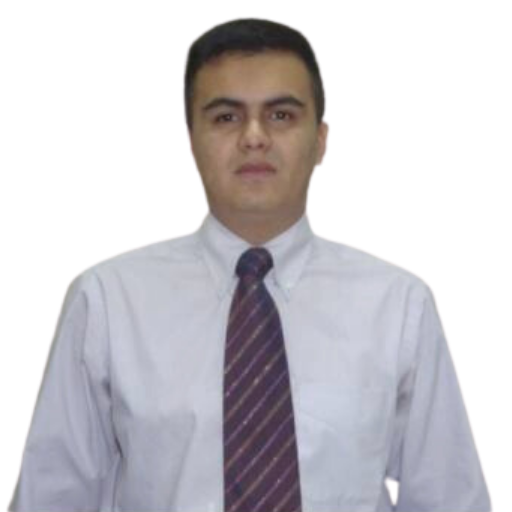 Luis Flores
