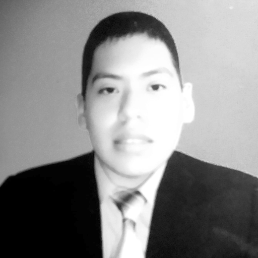 Julio Cesar Villarroel Veizaga
